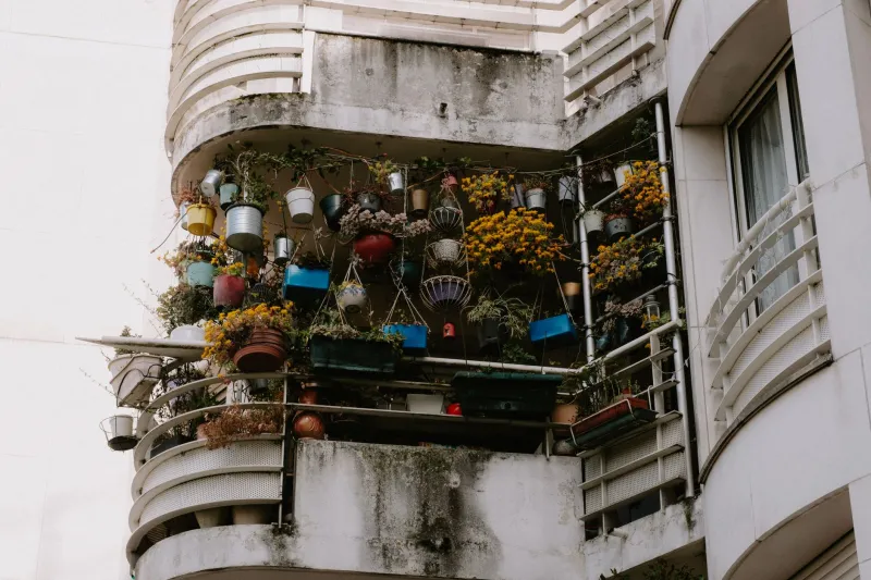 No Yard, No Problem: What Urban Gardeners Are Actually Harvesting From Balconies and Windowsills Across America