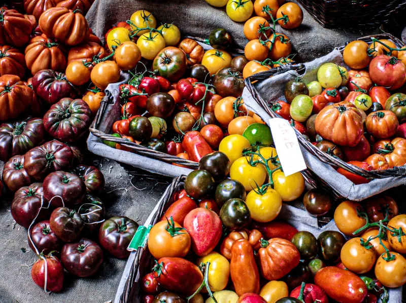 What Breeding for the Shelf Took Away from Your Plate: The Flavor Science of Heirloom Produce