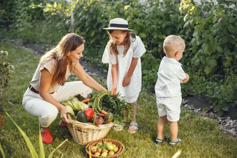Grow 30% of Your Groceries This Year: The Real Numbers Behind a Backyard Food Garden