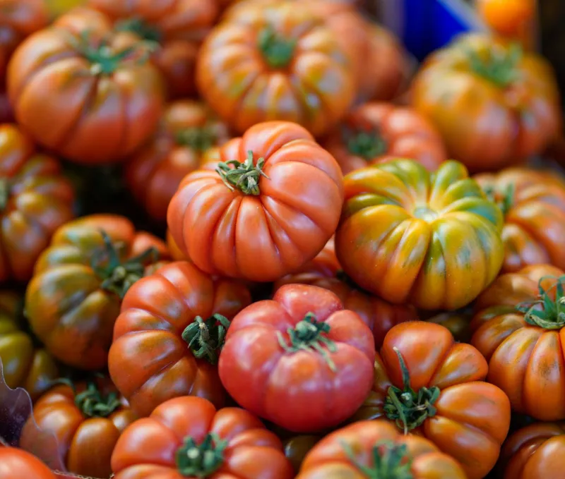Tasting the Past: How Organic Farmers Are Digging Up Flavors Industrial Agriculture Buried