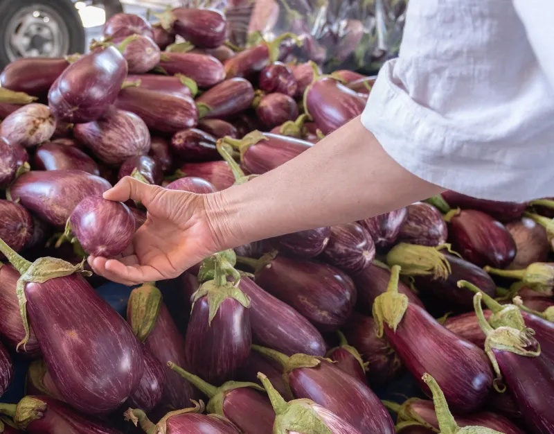 Eat With the Calendar: A Month-by-Month Map to the Most Nutritious Produce of the Year