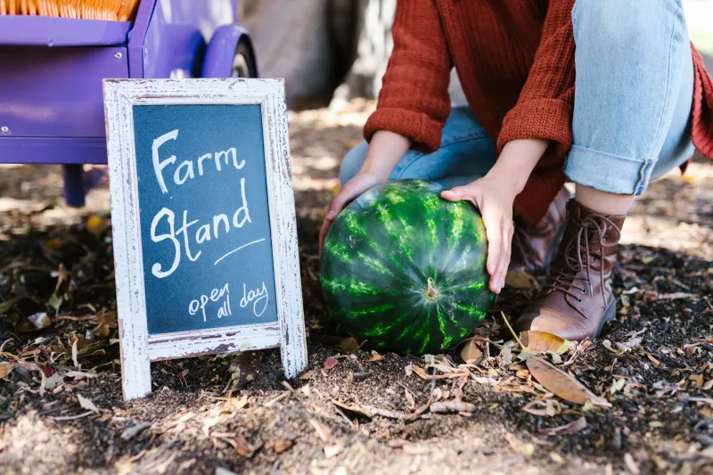 Small Farms, Big Pressure: The Quiet Crisis Threatening Your Winter Farmers Market