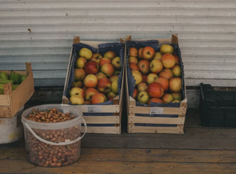 Two Peaches, One Label: What the Organic Sticker Doesn't Tell You About Flavor