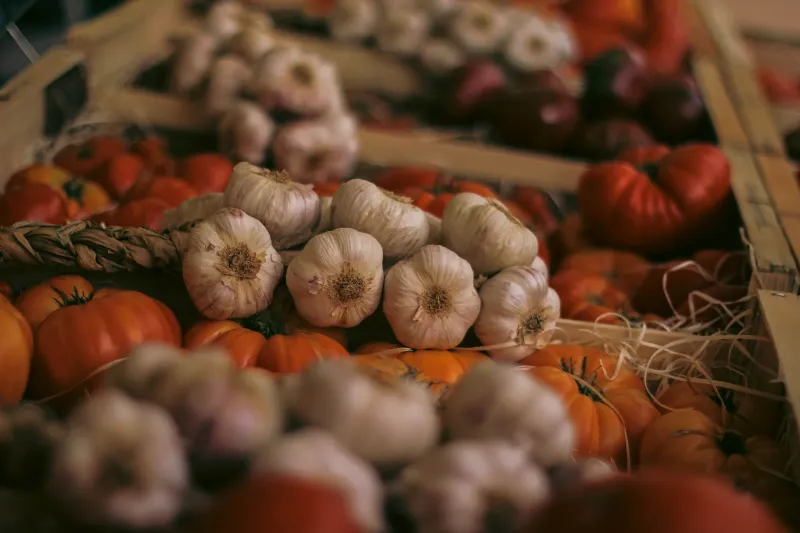 Same Certification, Wildly Different Flavor: The Hidden Forces Behind Organic Produce Taste
